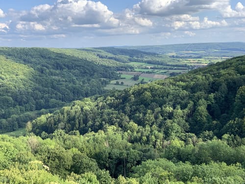 MTB-Tour zur Almadlerhütte und Friesener Warte