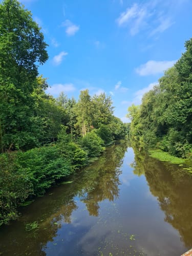 Lütetsburger Forst bei Hage