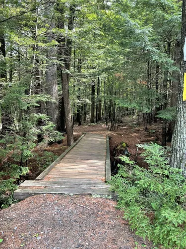 Best Kid Friendly Trails In Skowhegan 