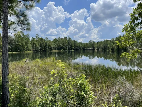 10 Best Trails and Hikes in Orlando | AllTrails