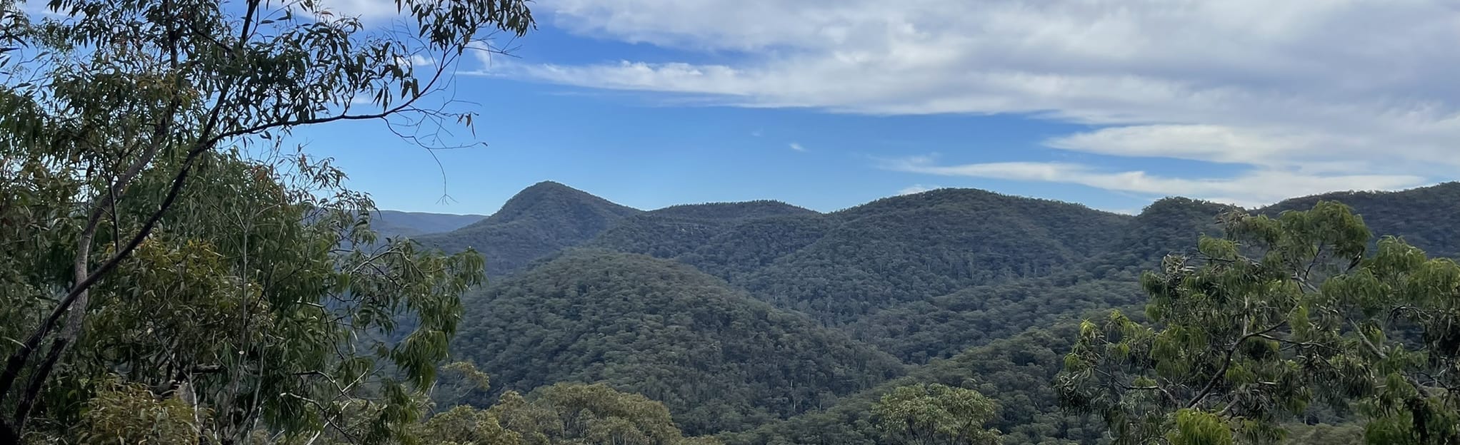 Bob Turners Walking Track 82 Reviews, Map New South Wales, Australia AllTrails