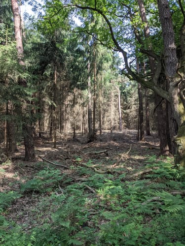 Kleine Runde am Gartroper Mühlenbach