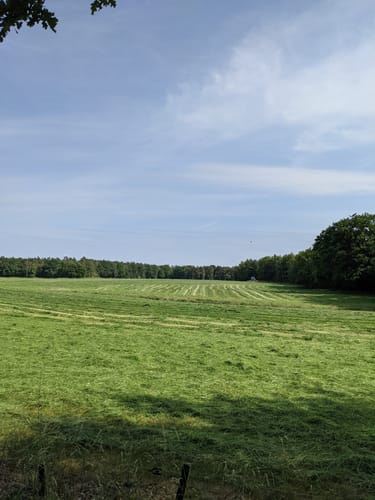 Kleine Runde am Gartroper Mühlenbach