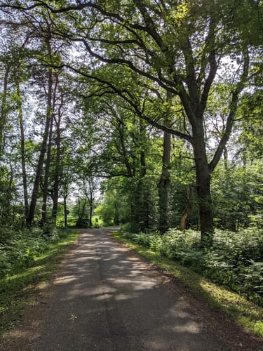 Kleine Runde am Gartroper Mühlenbach