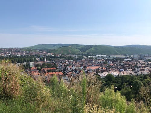 Von Wangen zur Schillerlinde