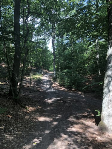 Aus Hermsdorf nach Schulzendorf