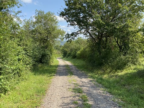 Ölschleifenweg Bliesransbach
