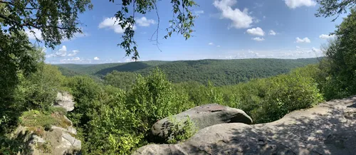 Allegheny national sale forest trails