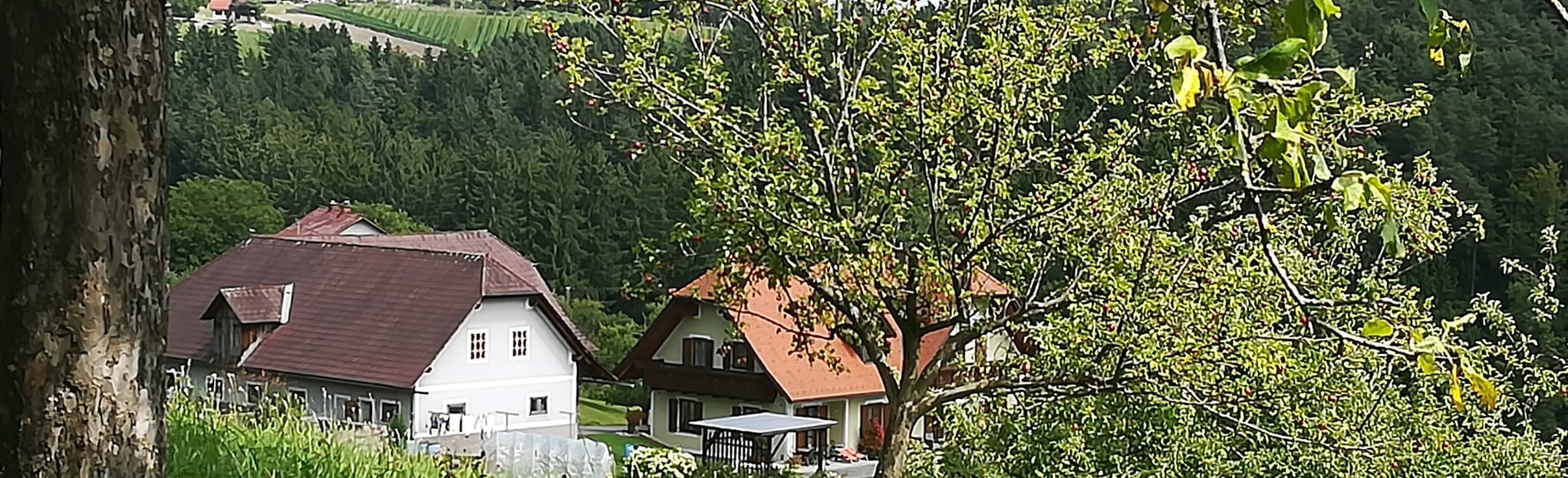 Schlösserweg Hitzendorf, Styria, Austria - 3 Reviews, Map | AllTrails