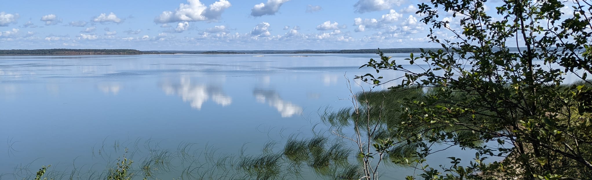 Long Point Trail 46 foto's Alberta, Canada AllTrails