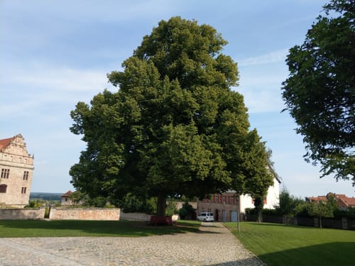 Dillenberg und Druidenstein