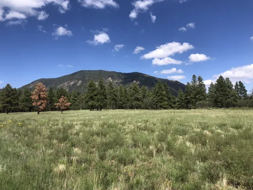 10 Best Trails and Hikes in Flagstaff | AllTrails