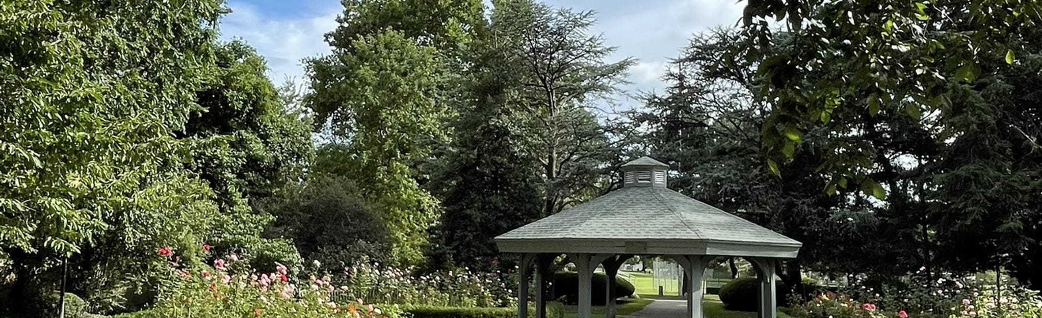 Taylor Park Loop Map, Guide New Jersey AllTrails