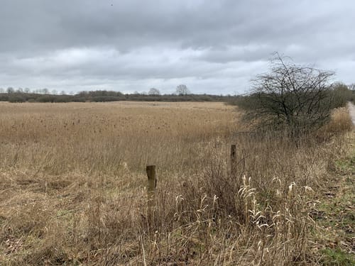 MTB Tour: Kiel - Preetz - Schwentinetal - Kiel/Wik