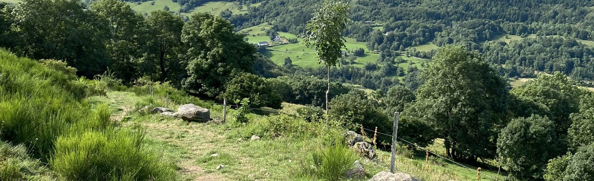 alltrails-le-falgoux-and-la-francon-che-16-reviews-map-cantal-france