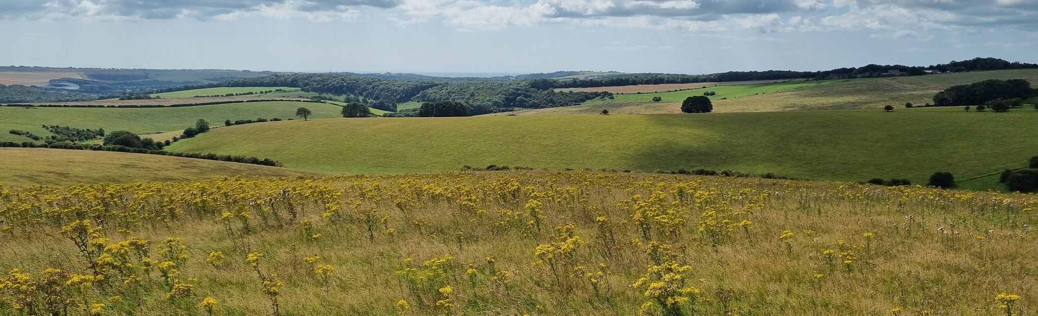 stanmer park mountain bike trails