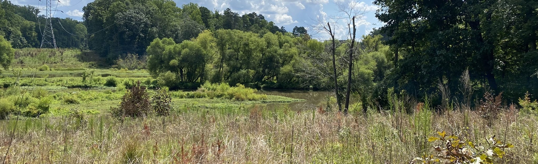 Bicentennial Greenway and Deep River Trail Loop 441 Reviews, Map