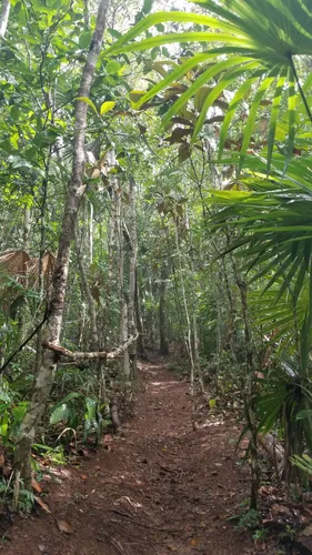 Best Hikes and Trails in Billy Barquedier National Park AllTrails