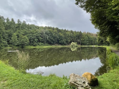 Rassel und Kellerskopf Rundweg