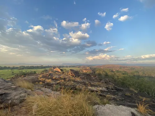 can you take dogs into kakadu