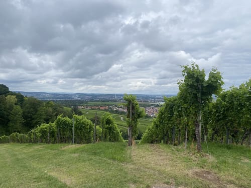 Kappelbergrunde zum Kernenturm