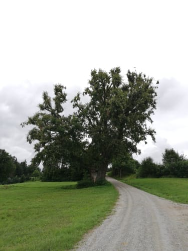 Arnstorfer Wanderroute 2 "Panoramaweg"