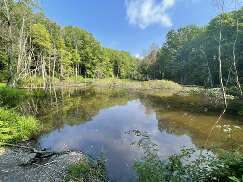 Moraine State Park Hiking Best 10 Trails In Moraine State Park | Alltrails