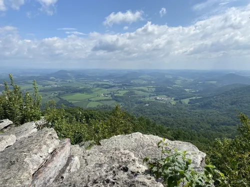 Best Forest Trails in State Game Lands Number 106 | AllTrails