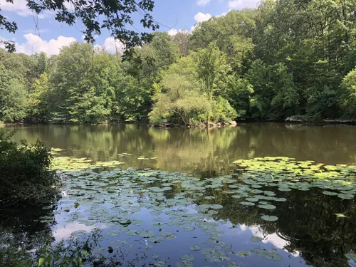 10 Best Trails And Hikes In Alexandria 