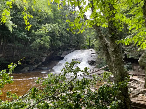 10 Best Trails and Hikes in Northville | AllTrails