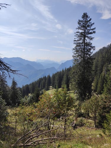 Taubensee - Rauschberg Südstrecke