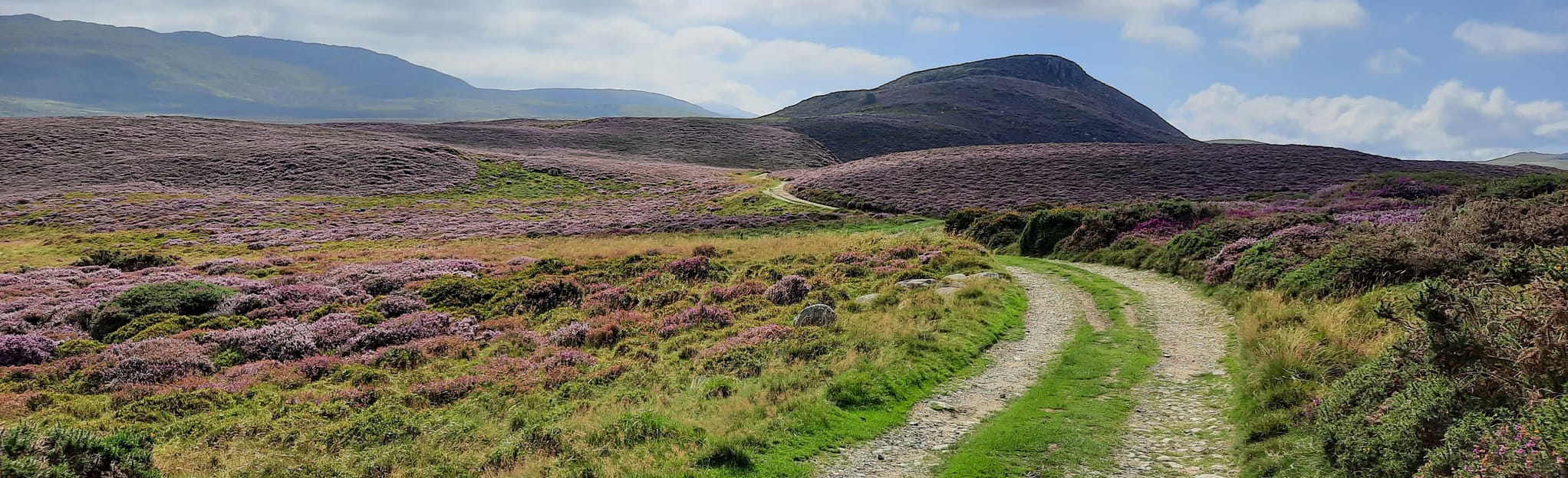 Penmaenmawr and Jubilee Walk 202 fotos Conwy, Gales AllTrails
