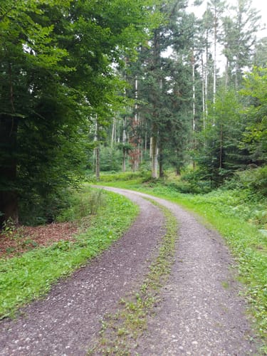 Rote Mühle Runde