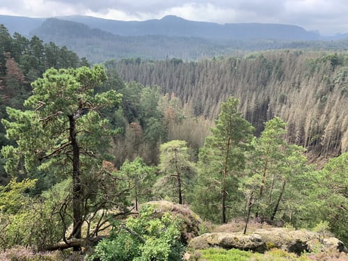 Saupsdorf - Sächsische Schweiz mit Arnsteinklippen und Kleinsteinhöhle