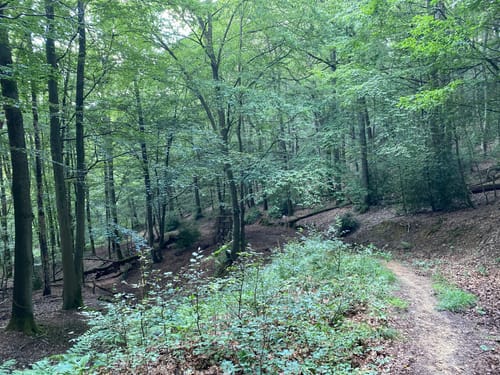 Rundwanderweg Rennenberger Bachtal (LZ7)