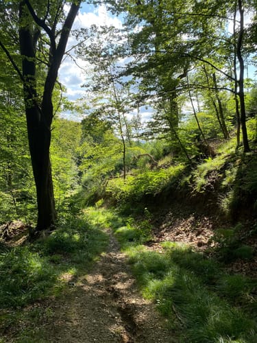 Rundwanderweg Rennenberger Bachtal (LZ7)