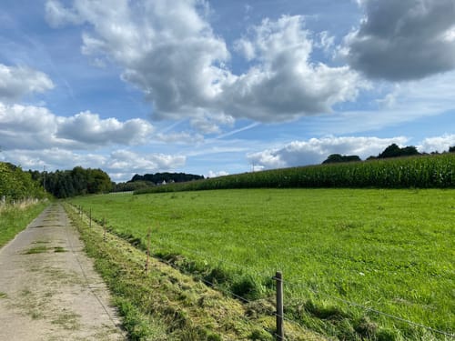 Rundwanderweg Rennenberger Bachtal (LZ7)
