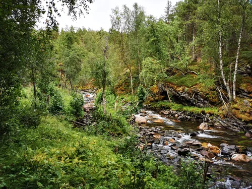 Los mejores senderos y rutas en Lullefjellet naturreservat | AllTrails