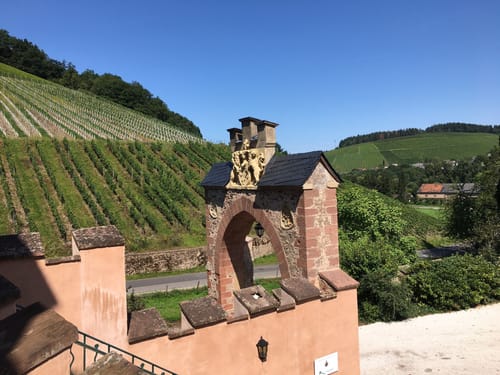 Moseltour: Wasserbillig - Schloss Grünhaus - Trier