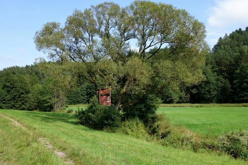 Plankenfels Rundwanderweg "Lochautalweg"