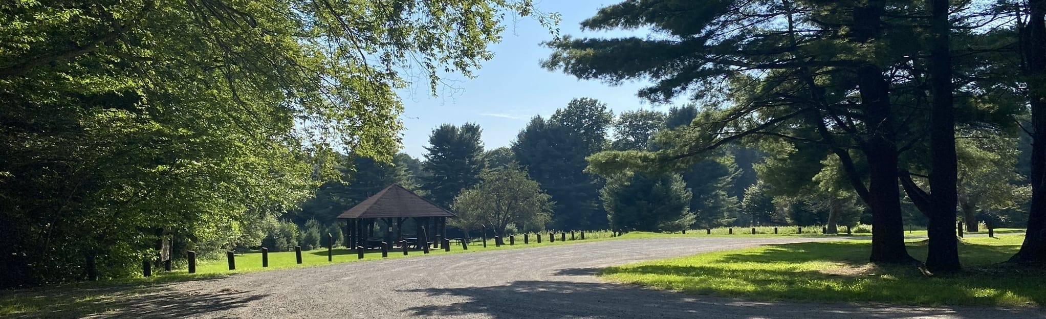 Hearts Content National Scenic Area Trail, Pennsylvania 111 Reviews