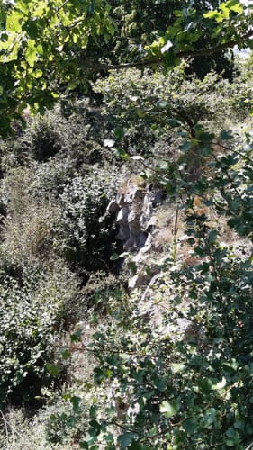 WiesenTour Maar (Premiumwanderweg)