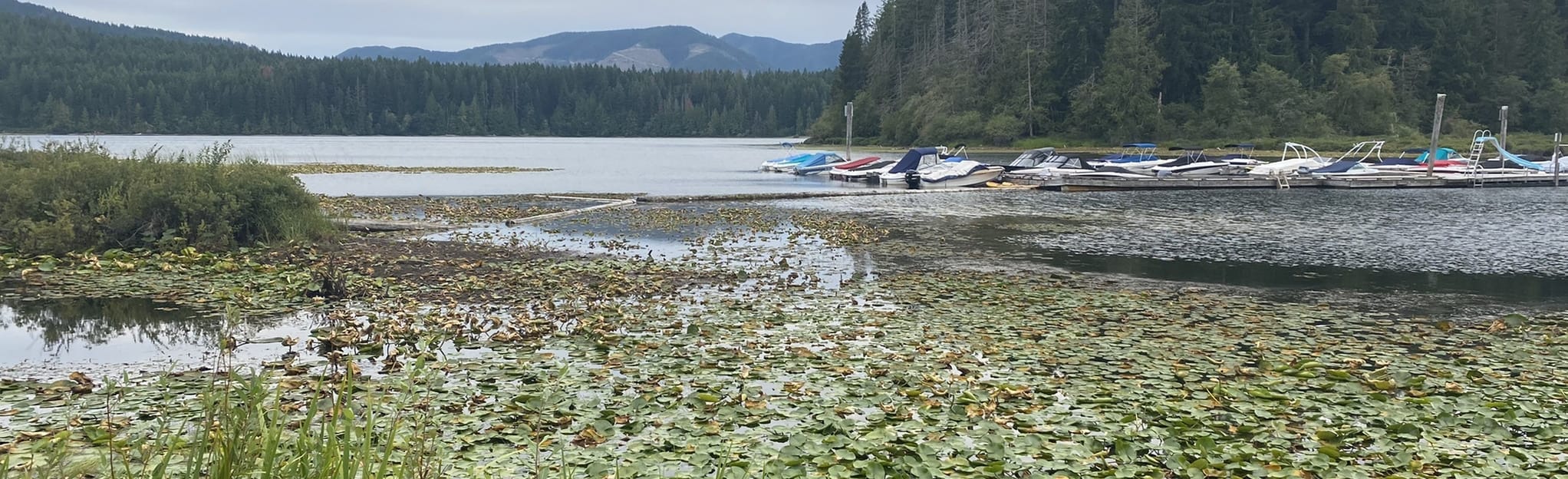 Marble Bay Park Trail 18 fotos Colúmbia Britânica, Canadá AllTrails