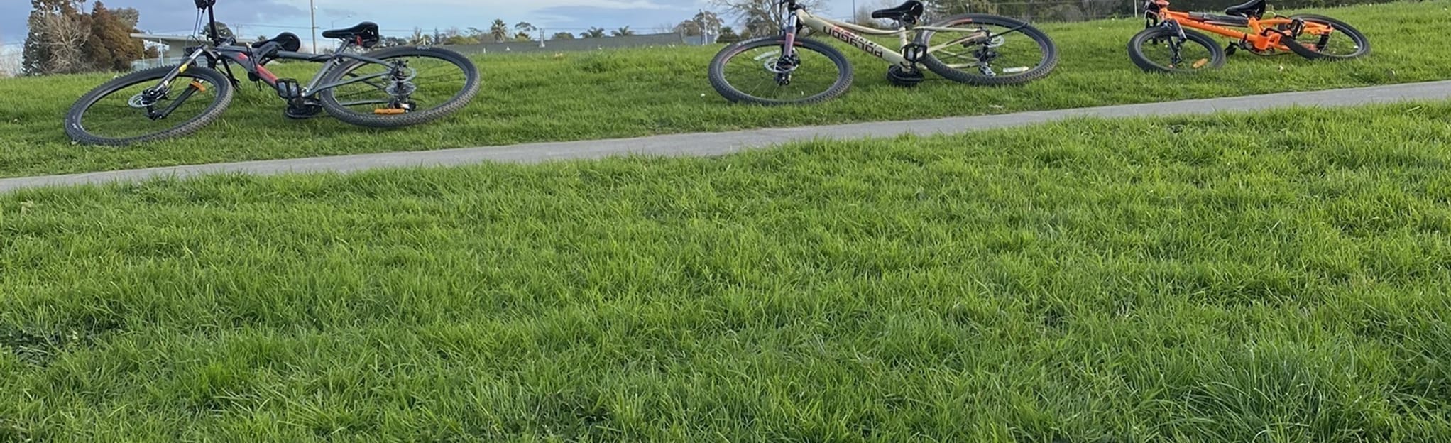 Huapai Reserve Path Map, Guide Auckland, New Zealand AllTrails