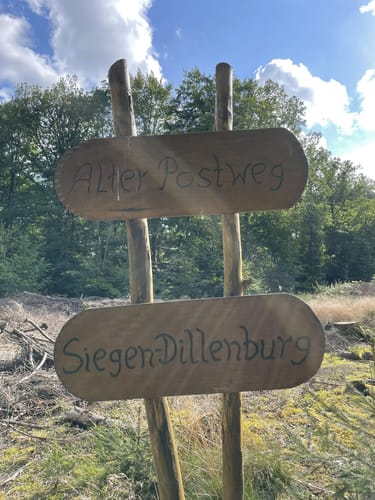 Wieland Waldlauf Wilnsdorf (6,6 km)