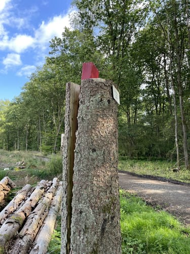 Wieland Waldlauf Wilnsdorf (6,6 km)