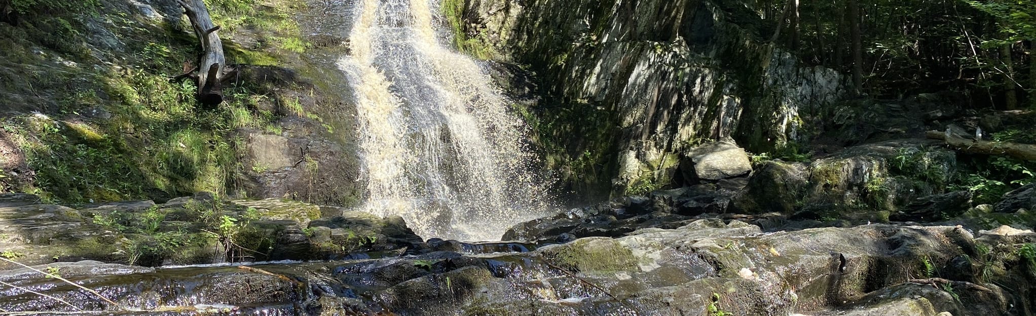 Cascade Falls Trail, Maine 677 Reviews, Map AllTrails