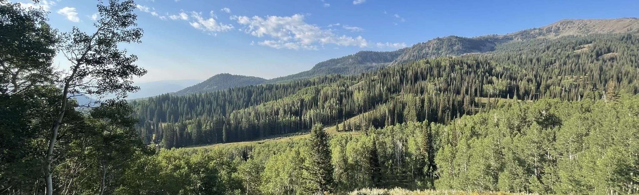 Bloods Lake Trail, Utah 3,522 Reviews, Map AllTrails