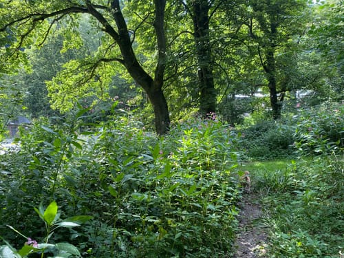 Rundwanderweg Rennenberger Bachtal (LZ7)