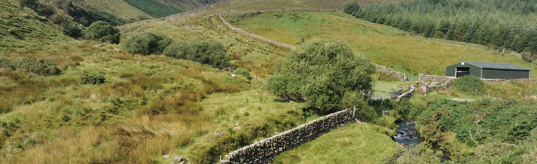 Temple Hill and Lyracappul County Limerick, Ireland AllTrails